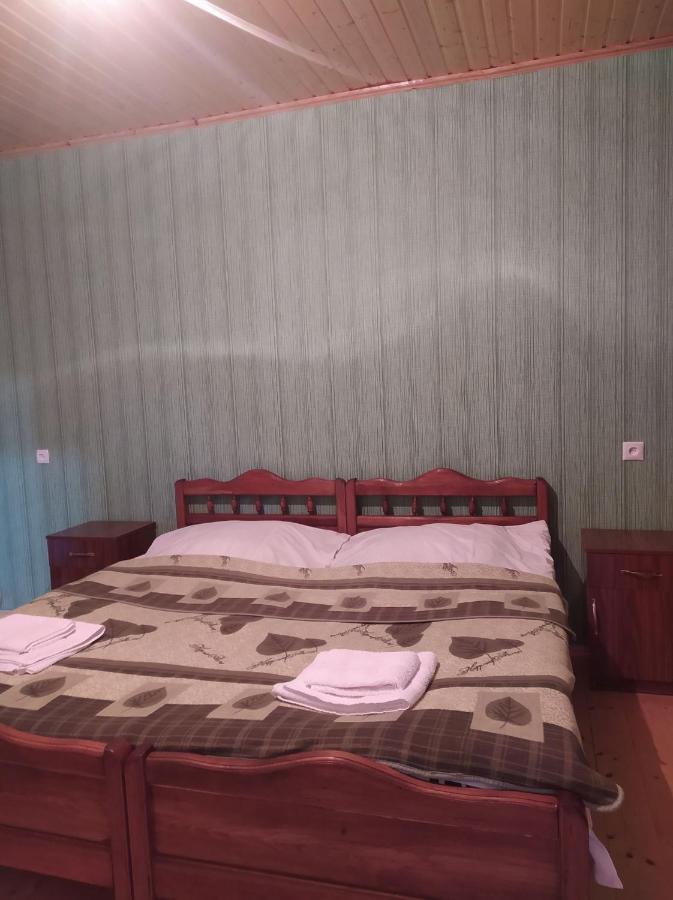 Guest House Nene Mestia Kültér fotó
