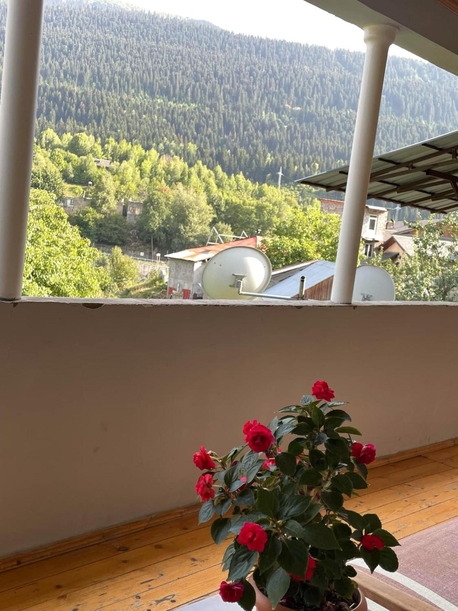 Guest House Nene Mestia Kültér fotó